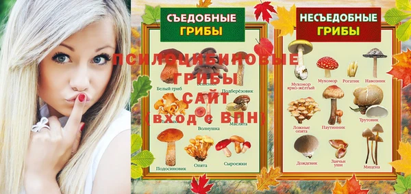mix Алексин