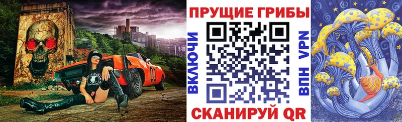 где купить наркотик  Суджа  KRAKEN ссылка  Галлюциногенные грибы прущие грибы 
